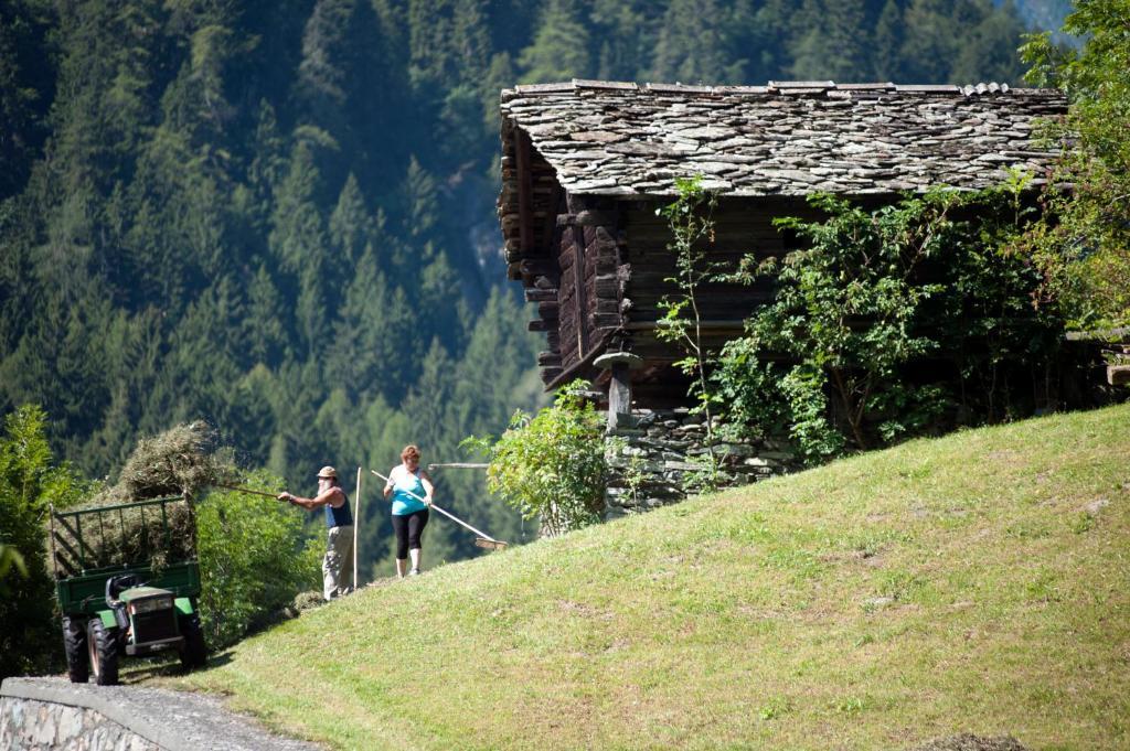 Albergo Castello Da Bonino Champorcher Rum bild